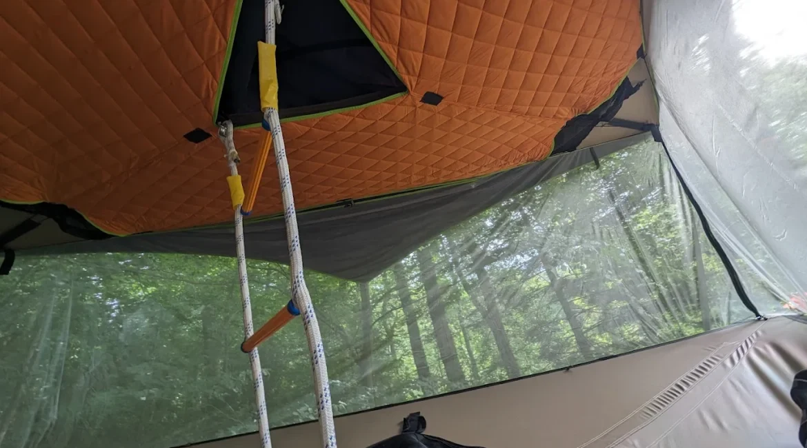 inside buzzard