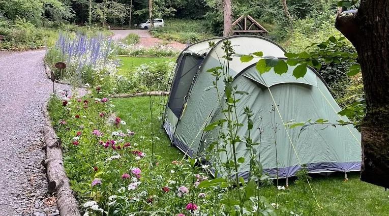 Vole Tent