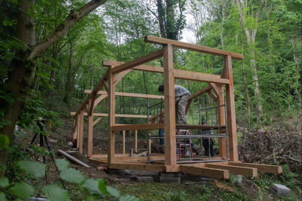 Larch: The best Outdoor Timber and Why