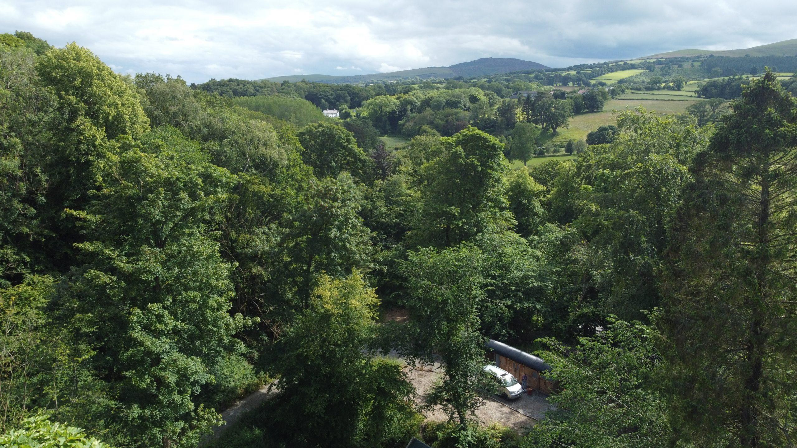 Aerial view over the woodland at Tree Tops and Train Tracks with the rolling North Wales countryside beyond